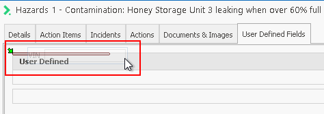 Moving UDF to User Defined